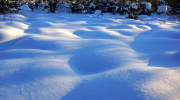 Пушистое покрывало