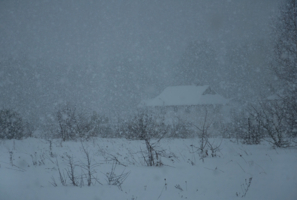 Вдруг метелица кругом; снег валит клоками