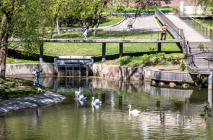 Блоггер за работой