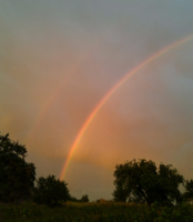 После грозы