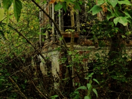 И быльем поросло