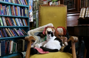 Мягко лежу,колко гляжу