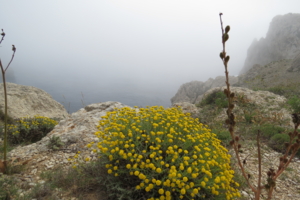 Туман в горах Майорки