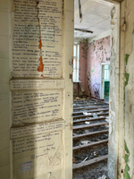 И зимой не всходят подсолнухи…