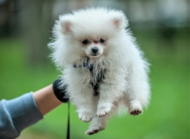 Мягкость на высоте!