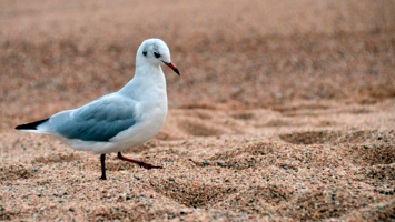 Вот и ножки проваливаются