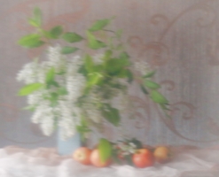 Мягкий фокус