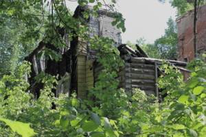 Конец истории...