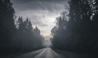 Сквозь туман