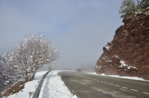 туман в горах