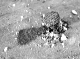 Гвоздь преткновения.