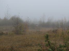 "Летучий голландец"