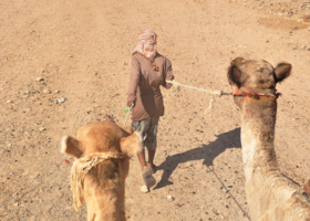 Работа в пустыне