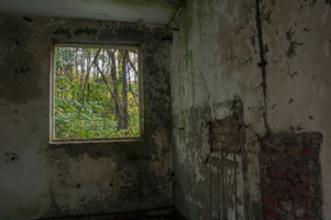 Осень жизни