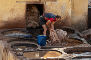 Марокканский кожевник