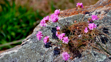 А ведь смогли!