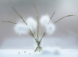 В ожидании весны