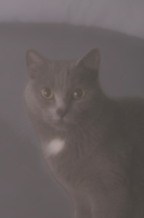 "Лучше быть мягким снаружи и твёрдым внутри".