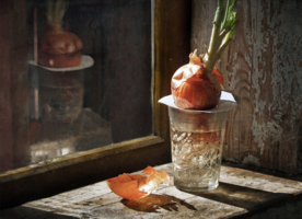 Свет мой зеркальце, скажи...