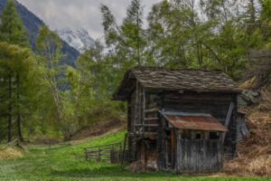 Избушка,избушка...