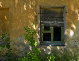 А внутри жизни нет