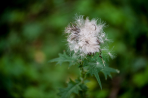 Осторожно, очень мягко!