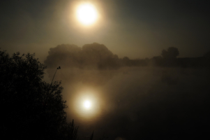 Тишина на берегу реки