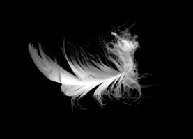 Мягкость пера...