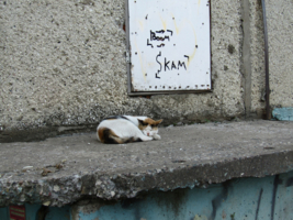 Мягкое на жестком