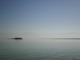 Туманный берег