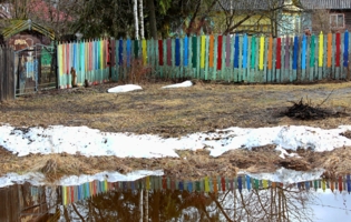 радуга доморощенная