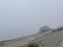 Густой туман