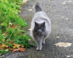 Мягче не бывает