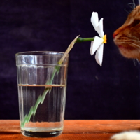 Ужасно интересно...