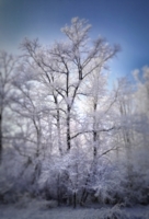 В свежем морозном воздухе