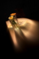 Ну, полетели!)