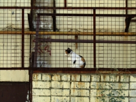 Жесткая конструкция в клеточку