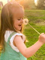 Летние радости