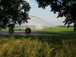 Поливальная радуга