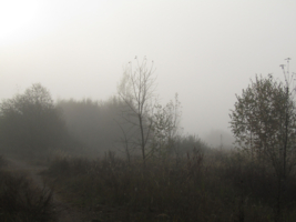 Утренняя мгла