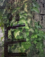 На дворе стоит арба