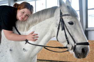 Уткнуться в мягкую лошадку...