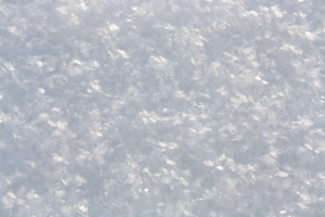 Первозданная мякоть