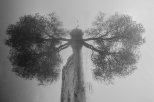 Привиделось...