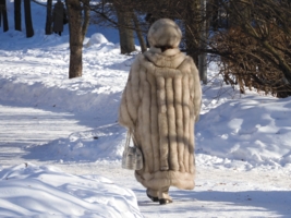 Если вы пушисты и мягки -