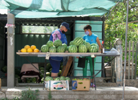 Продаем арбузики