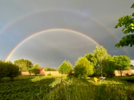 Перед грозой