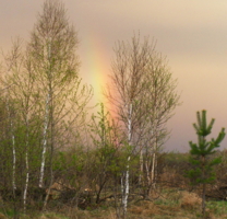 Рождение радуги.