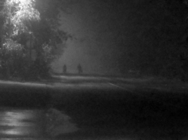 Двое в ночном тумане