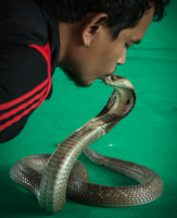 Экстремальная работа